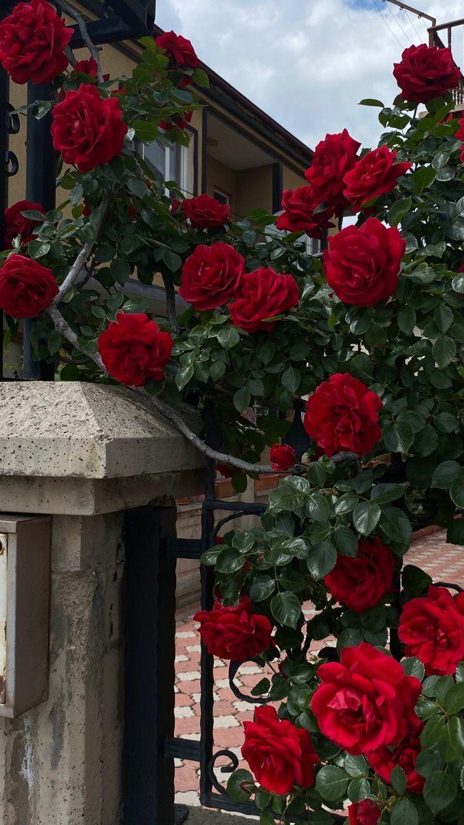 GentleHarborLogic workshop space where corporate flower arrangements are designed and prepared for business delivery